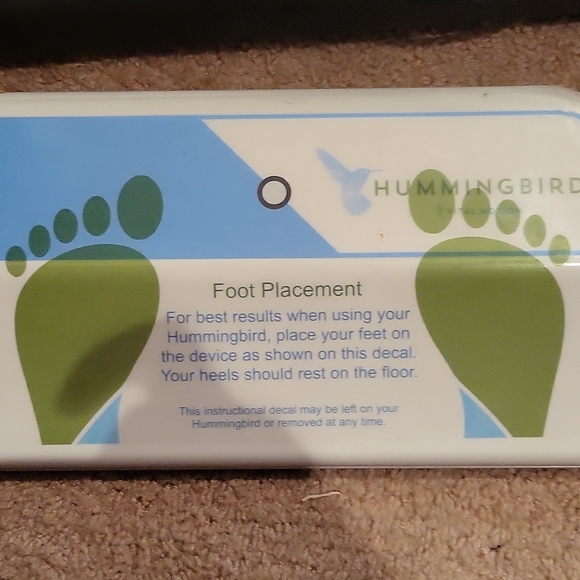 Hummingbird - Picture 4 of 6